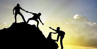 Accountability & Support